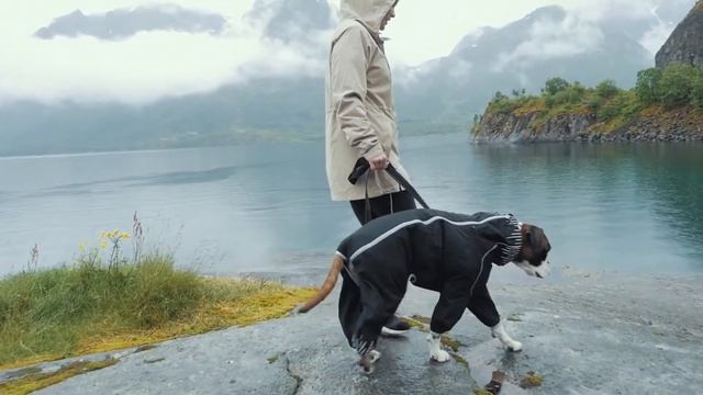 Hurtta Rain Blocker — плащ с передними лапами для собак смотреть онлайн