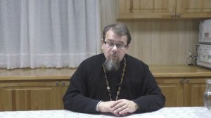 Лекция 29. Понять суть Рождества Христова (часть 2). Отец Константин Корепанов в Успенском Соборе