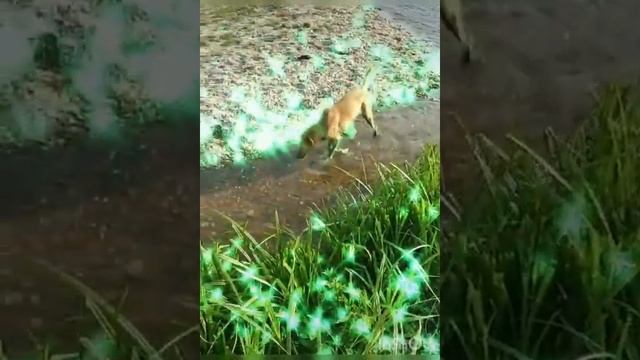 Татошка Изумрудной реки.mp4 смотреть онлайн