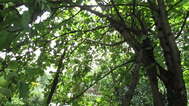 Даёт Бог милость... смотреть онлайн