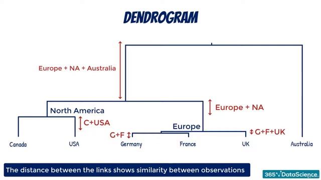 Part 49 Dendrogram смотреть онлайн