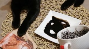 ЧТО ЖДЕТ В ДЕЛАХ, РАБОТЕ И ЛЮБВИ? - гадание на кофейной гуще