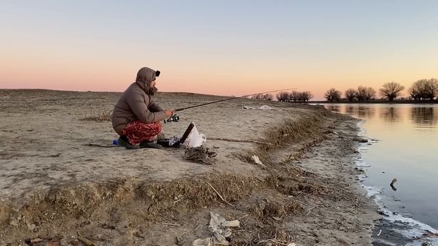 ЗИМНИЙ БЕШЕНЫЙ КЛЕВ ГУСТЕРЫ. За 2 часа наловил пол пакета. Winter fishing. смотреть онлайн