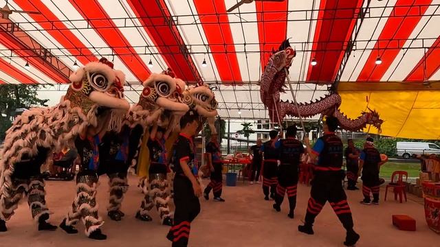 AMAZING LION AND DRAGON DANCE PERFORMANCES AT COMMONWEALTH SQUARE SINGAPORE 2023|NINE EMPEROR GODS смотреть онлайн