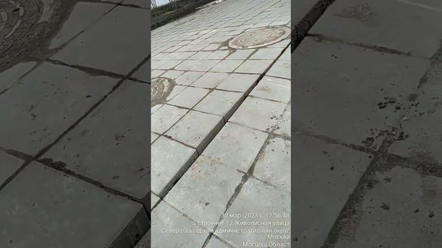 дом по реновации "Братская могила", мертвая сирень. новикова-прибоя 6/3/1 смотреть онлайн