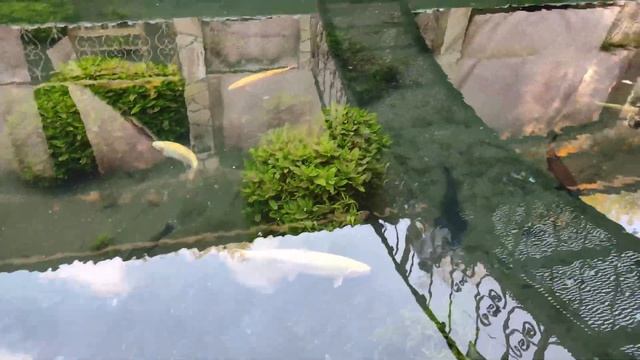 Обзор частного парка отдыха. Ландшафтный дизайн на даче. минизоопарк. DIY Landscape design смотреть онлайн