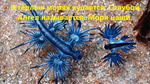 Какие звери круче? Фантастические или реальные? смотреть онлайн