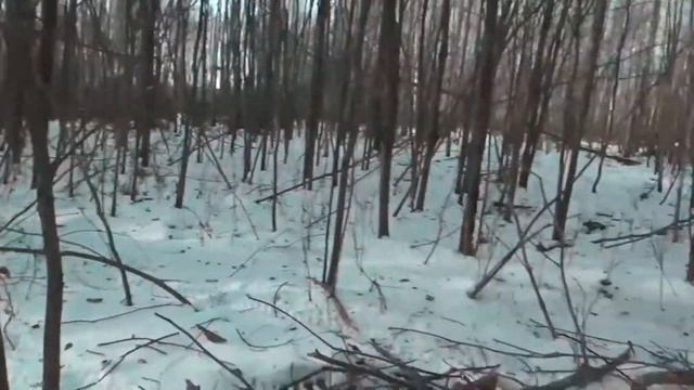 4х4 Жизнь Без Дорог. Бронницкий полигон-3.