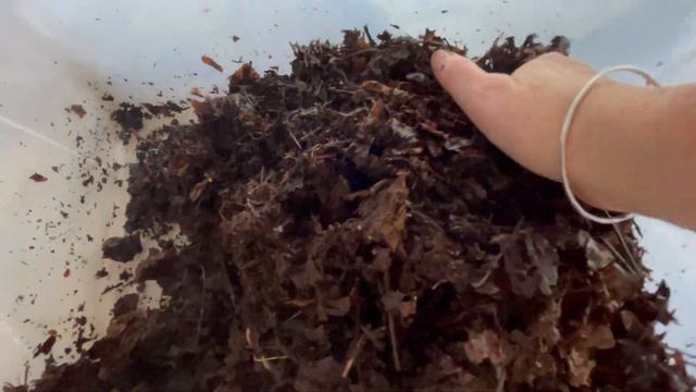 Leaf Mold Worm Bedding смотреть онлайн