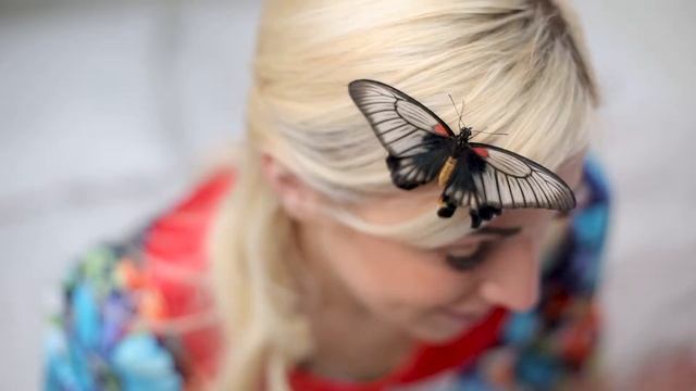 Удивительный подарок смотреть онлайн