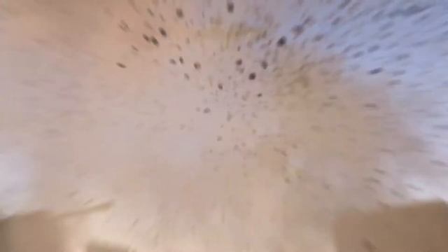 Call of Duty WWII The War Machine смотреть онлайн