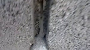 трещины  в керамзитобетонных  блоках