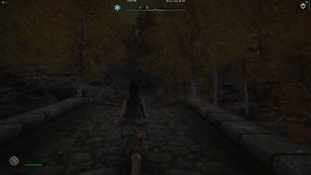 Skyrim SE Ultra Modded 2023 / Legacy of the Dragonborn / Cabbage Enb + NAT III - ep. 8 смотреть онлайн