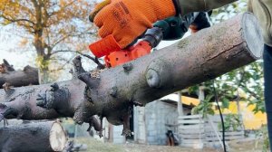 Что будет если цепная пила насадка на дрель из Китая хочет, но не тянет? Краш-ТЕСТ на прочность