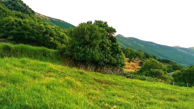 Местечко под Азорским Солнцем: 3-й выпуск смотреть онлайн