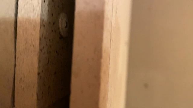 Небольшая экскурсия по производству бань. Строительство бань в Иркутской области смотреть онлайн