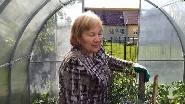 ВСЁ О ПОЛИВЕ ТОМАТОВ В ТЕПЛИЦЕ! смотреть онлайн