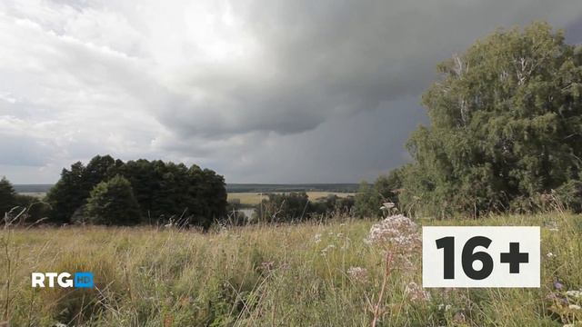 Зубр смотреть онлайн