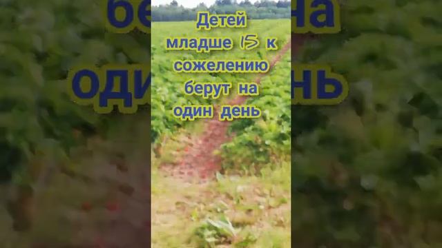 Без слез не взглянешь смотреть онлайн