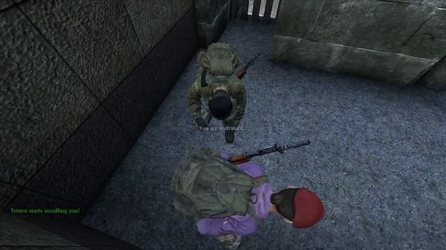 Survivor On The Radio (DayZ Standalone) смотреть онлайн