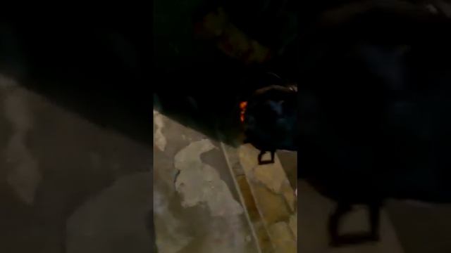 Велека тихо си тече..... смотреть онлайн