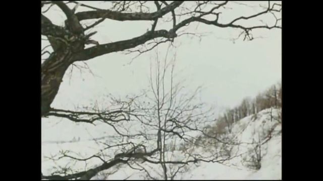 МОРОЗКО И НАСТЕНЬКА. С НАСТУПАЮЩИМ НОВЫМ ГОДОМ ! смотреть онлайн