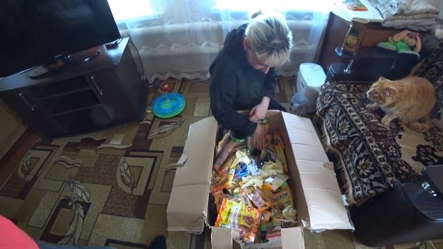 НАШИ ПОДПИСЧИКИ НАС СНОВА БАЛУЮТ!! ПОСЫЛКА С ВКУСНЯХАМИ ДЛЯ ХВОСТИКОВ! ОТКРЫВАЕМ!! смотреть онлайн