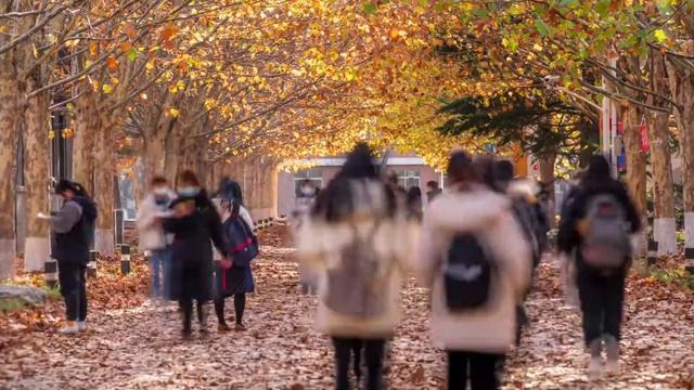 Очень трогательный стих "Аллея" смотреть онлайн