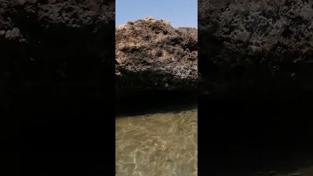 СРЕДИЗЕМНОЕ МОРЕ #КИПР2021 ЛАРНАКА MEDITERRANEAN SEA LARNAKA BEACH #SHORTS смотреть онлайн