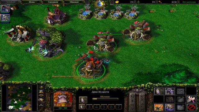 Гайд на Ночных эльфов Warcraft 3 смотреть онлайн