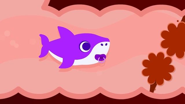 [영어] 엄마 상어가 아파요! | 아기를 낳아요 | 아기 상어 | 색깔놀이 | 니니키즈 NINIkids