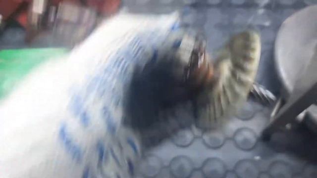 Жертвы безалаберности! Дисковая пила Hitachi смотреть онлайн