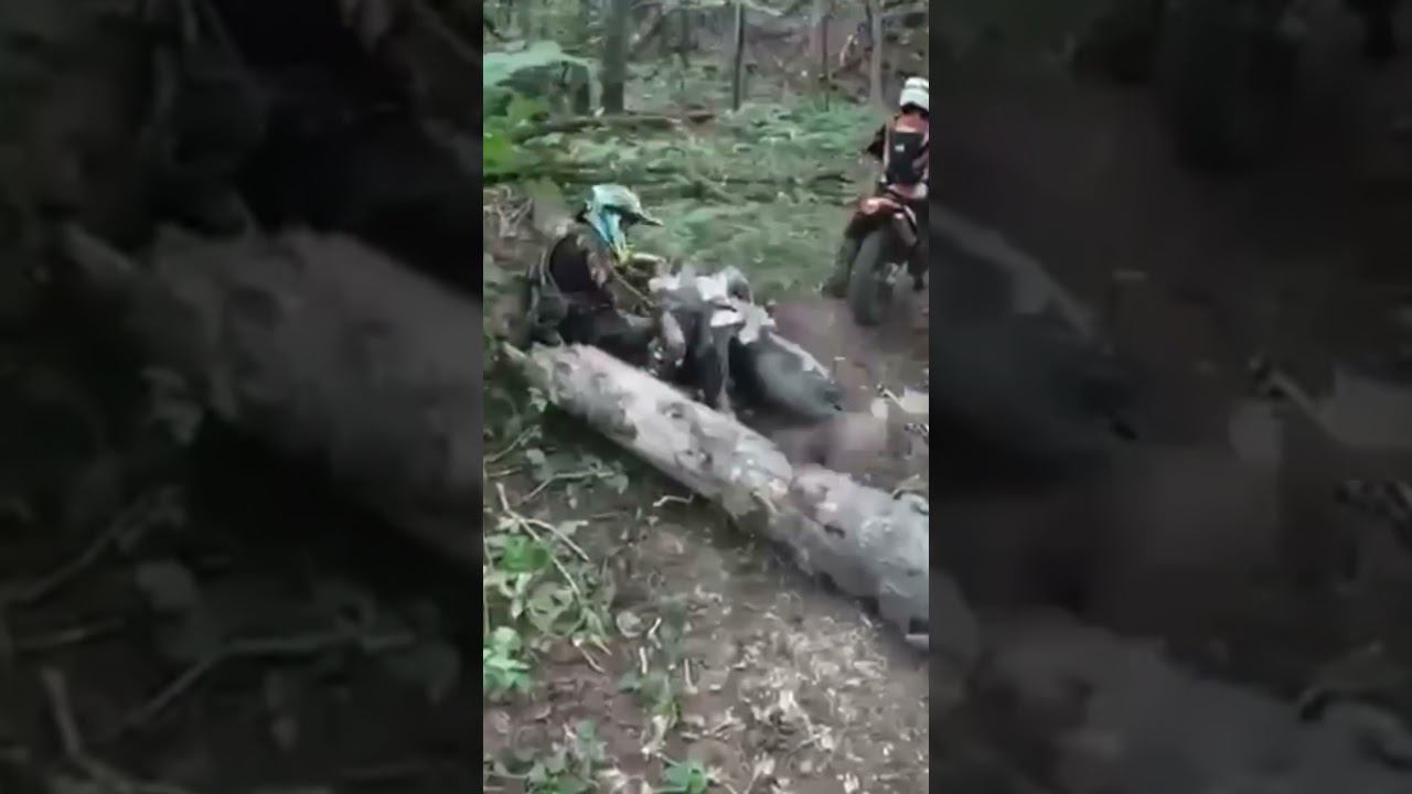 20 августа 2023 г.