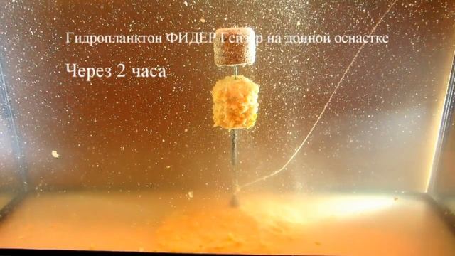 Растворение таблетки Гидропланктон «ФИДЕР Гейзер» на донной оснастке смотреть онлайн
