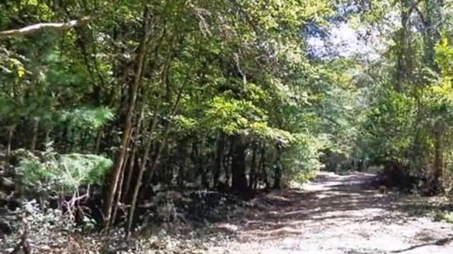 Homes for Sale - 10 Magnolia Rd Marianna FL 32448 - Debbie Roney Smith смотреть онлайн