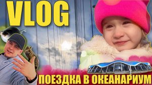 ВЛОГ ИЗ ОКЕАНАРИУМА ? | ПАПА БЕРЕТ ДОЧУ НА ПОКАЗ ? | ОЛИВА БОИТСЯ РЫБ ?