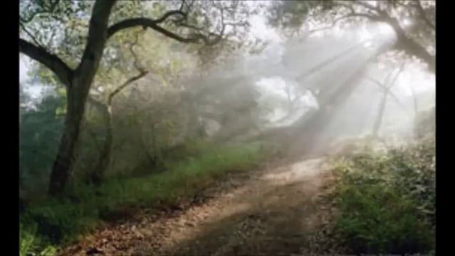 Шмуэль Ципен. ВСТУПЛЕНИЕ "... но у нас один Бог..." (1 Кор.8:6) смотреть онлайн