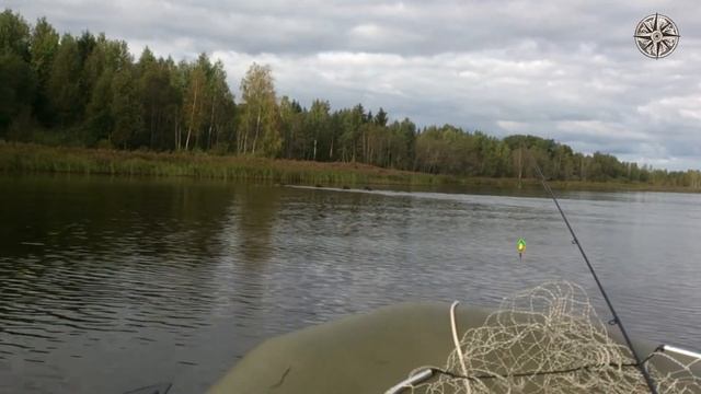 Случай на рыбалке. Кабаны переплывают озеро. Встреча с кабанами смотреть онлайн