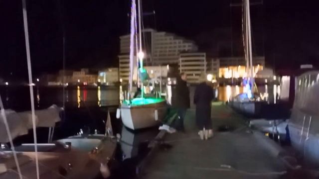 Клуб Шведских яхт. Флотилия Севастополь - Балаклава. Осторожно, много дельфинов. Дельфин- альбинос. смотреть онлайн