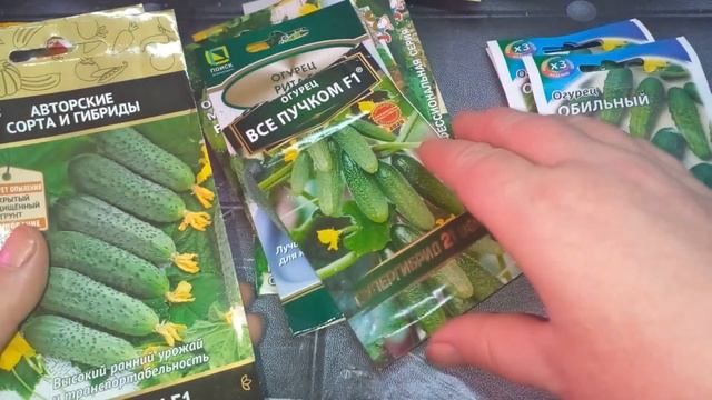Какие огурцы я буду сажать в открытый грунт .Обзор семян смотреть онлайн
