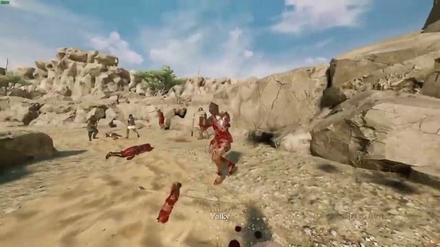 Какой-то игрок оделся как рефери и стал помогать другим на дуэльном сервере. Сам себе NPC смотреть онлайн