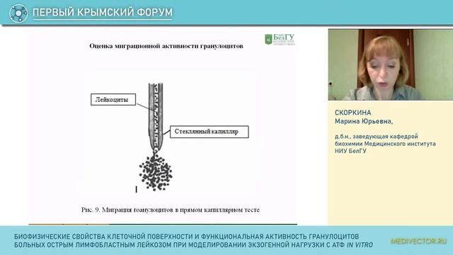 «Клеточные технологии в онкологии и разработка новых лекарственных препаратов» смотреть онлайн