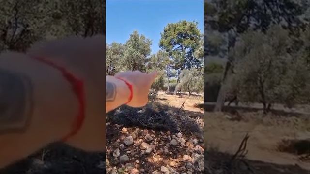участок сЭм соток. камни в придачу бесплатно по промокоду Шпак. Ловись лох бедный и богатый 😁 смотреть онлайн