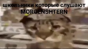 Подборка Мемов с Котом в Наушниках из«Tik Tok»