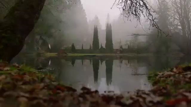 Шерил Блоссом☇Мэделин Петш/In my mind/Black tea смотреть онлайн