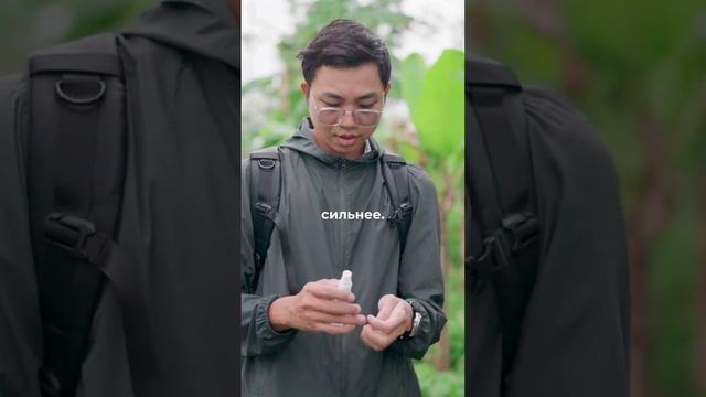 Travel Now - путешествуй прямо сейчас