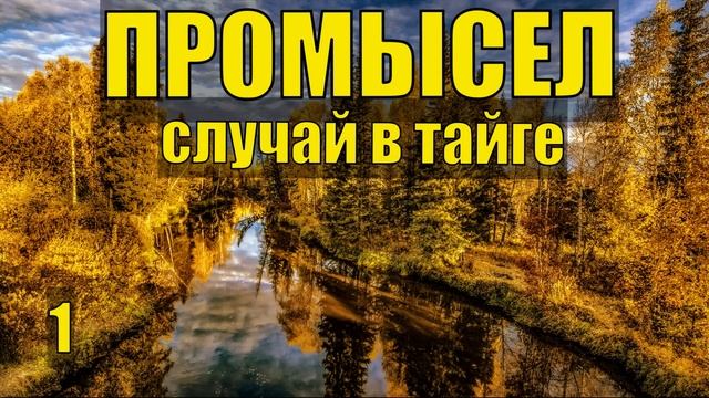 СЛУЧАЙ В ТАЙГЕ ПРОМЫСЕЛ СПЛАВ ПО РЕКЕ ЛОВЛЯ СОБОЛЯ ОТШЕЛЬНИКИ СУДЬБА ЧЕЛОВЕКА ЖИЗНЬ В ЛЕСУ ПОХОД 1 смотреть онлайн
