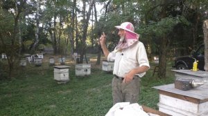 сколько ПЧЁЛ НАДО в ЗИМУ 2 КГ. или 6 КГ.