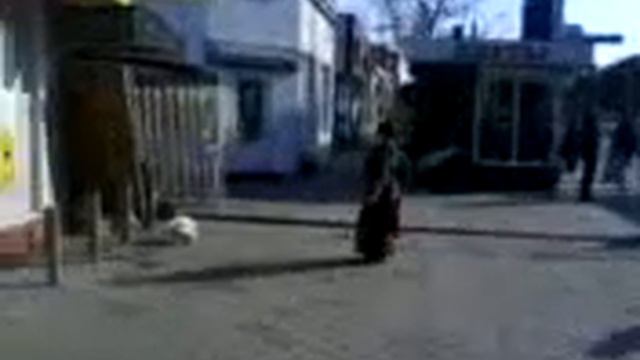 Танцующая бабушка на ул. Димитрова, г. Воронеж смотреть онлайн