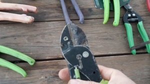 Не покупайте такие секаторы.Обзор секаторов для обрезки деревьев.